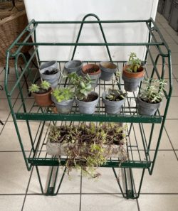Présentoir plantes ou autres
