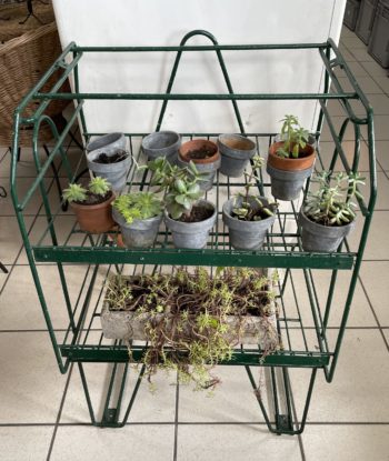 Présentoir plantes ou autres